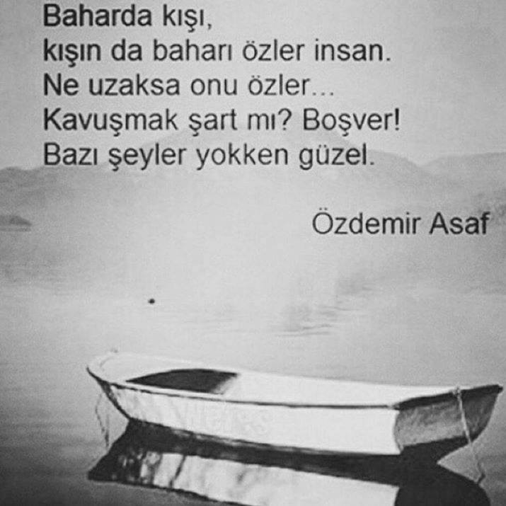 Şahin