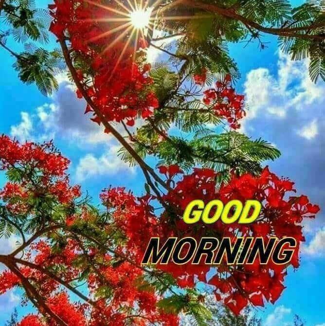 K Akbarali Badsha
