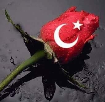 Rabia
