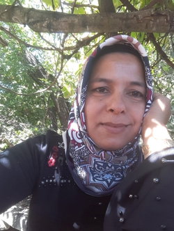 Safiye