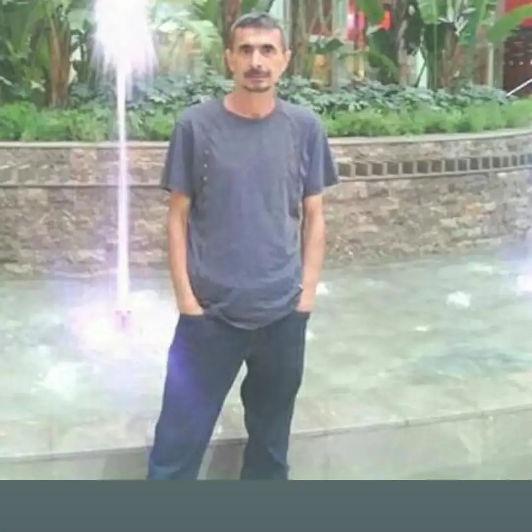 Vedat
