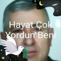 Şevki