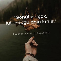 Sebahat