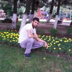 Erdal