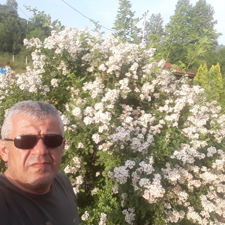 Temel
