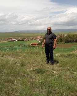 Doğan