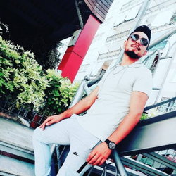 Şahin