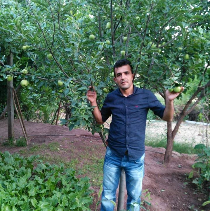 Adil