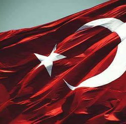 Halil