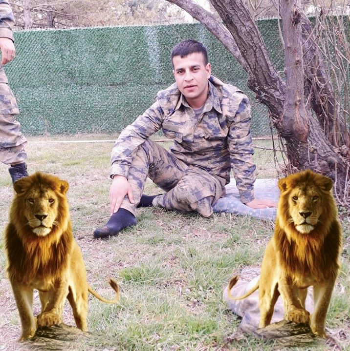 Şahin