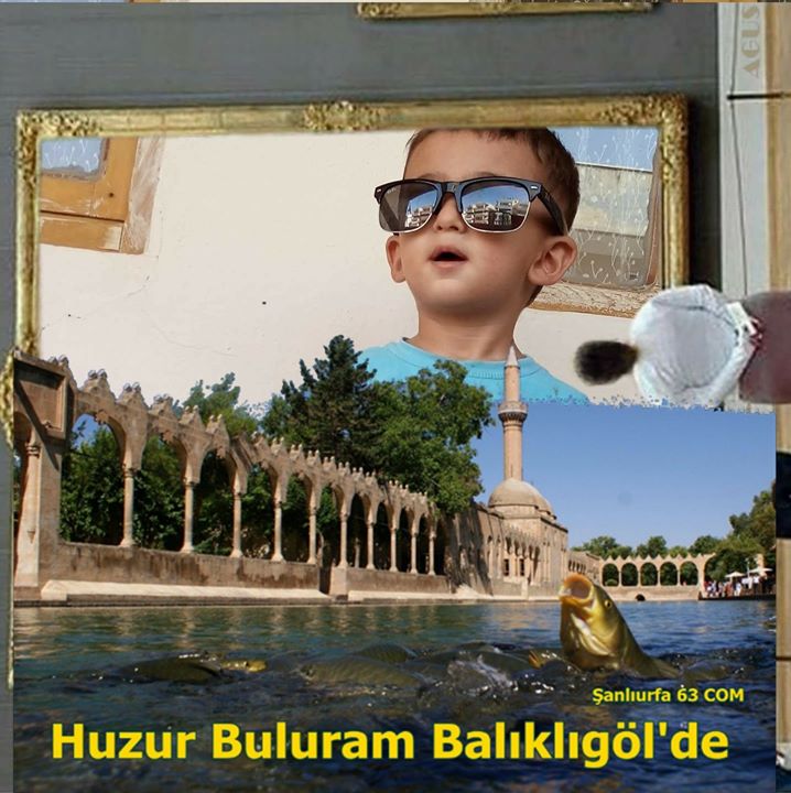 Sedat