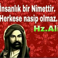 Birgül