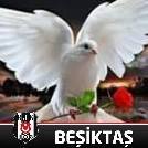 Recep