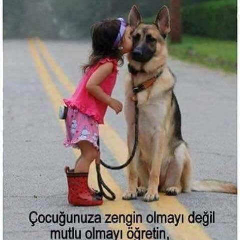 Toprak