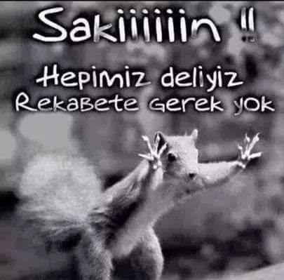 Ayşe