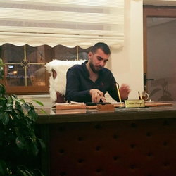 Mehmet