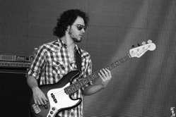 Tamer