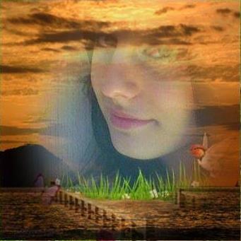 Buse