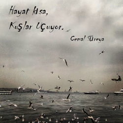 Nilgün