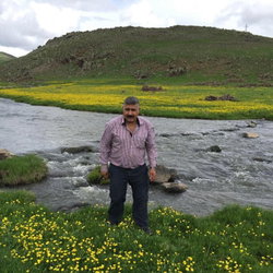 Mehmet
