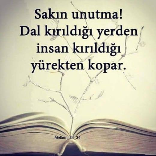 Belgin