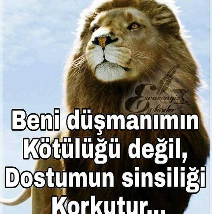 Toprak