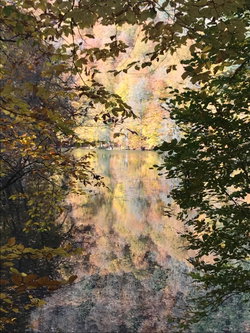 Mürüvvet