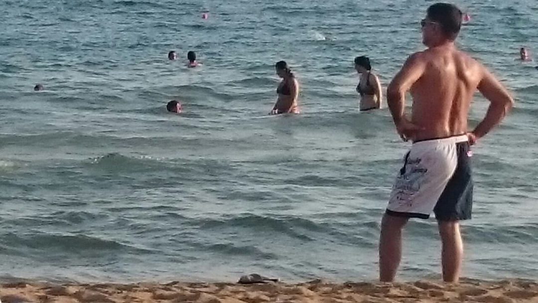 Ediz
