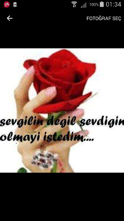 Havva