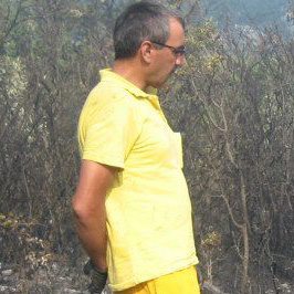 Mahmut