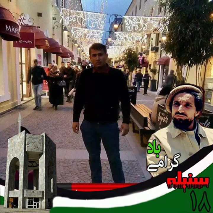 نجیب