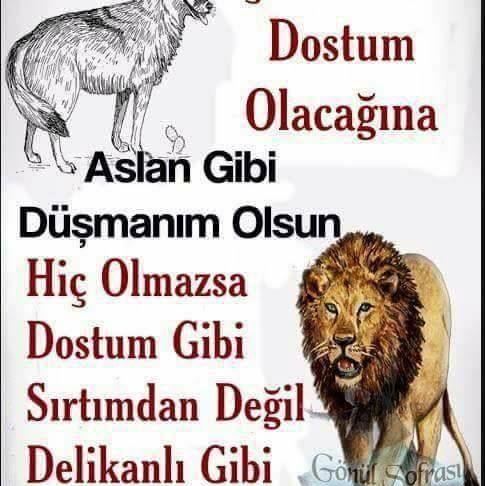 Aykut