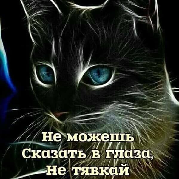 Шоира