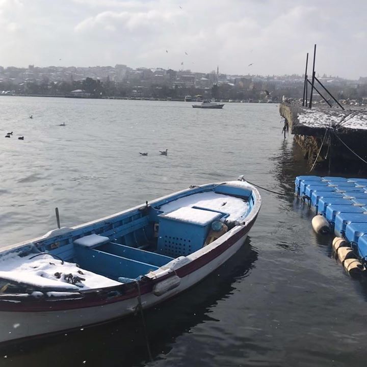 Savaş