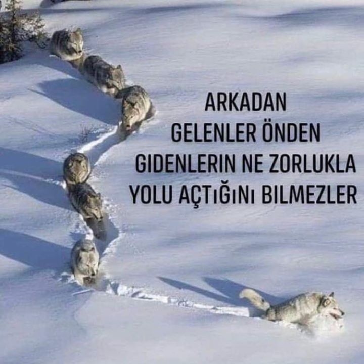 Kıvanç