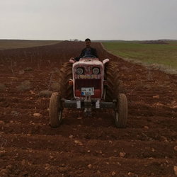 Ömer