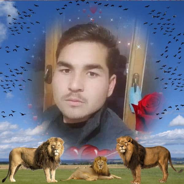 ممد