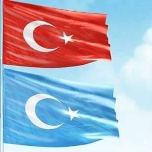 Şerif