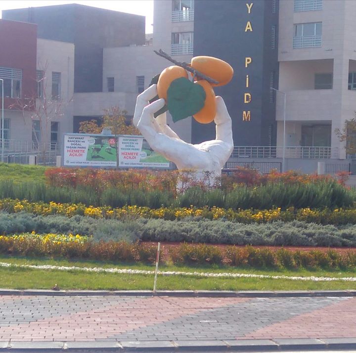 Ayhan