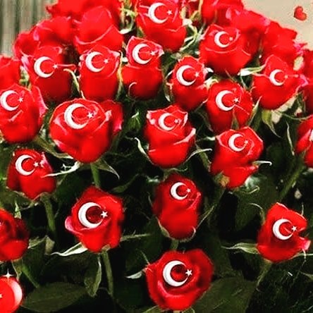 Elif