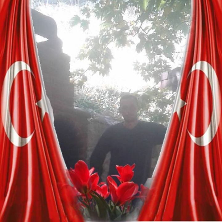 Halil