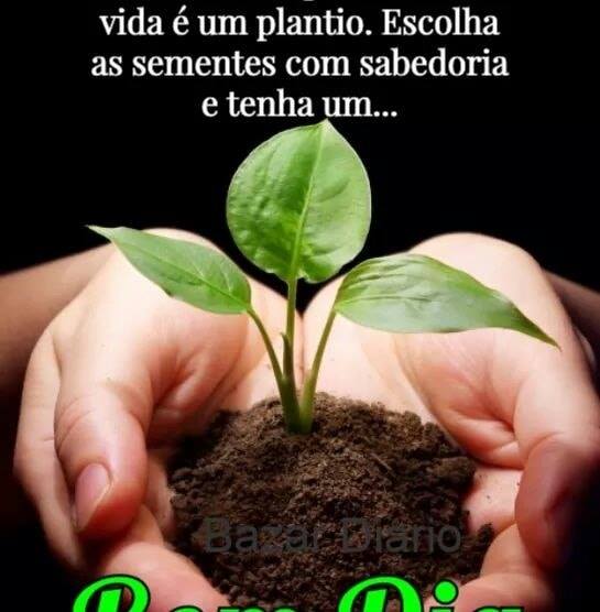 Reinaldo