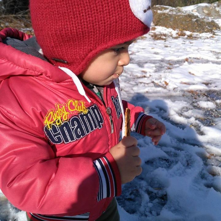 Bekir