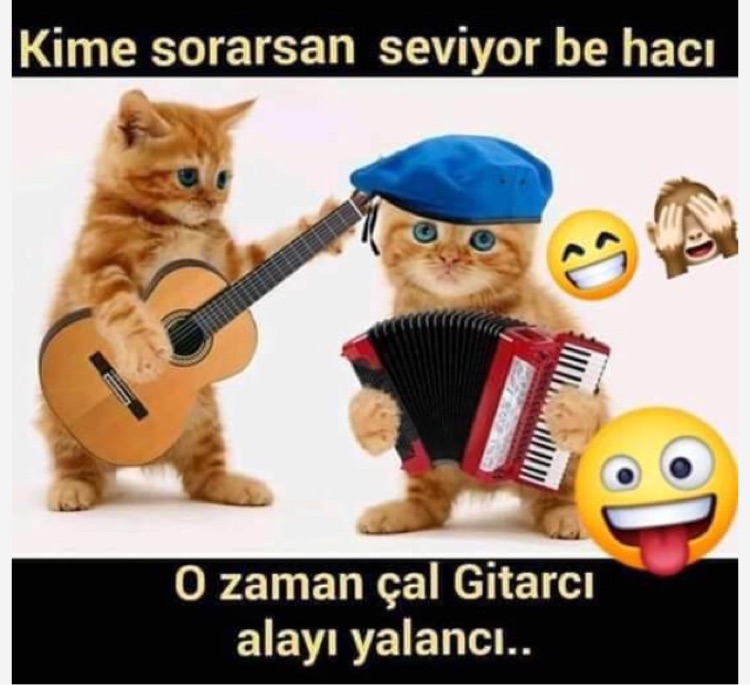 Pelin