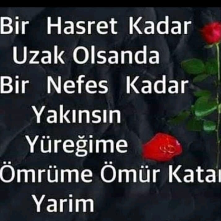 Serife