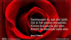 Hatice