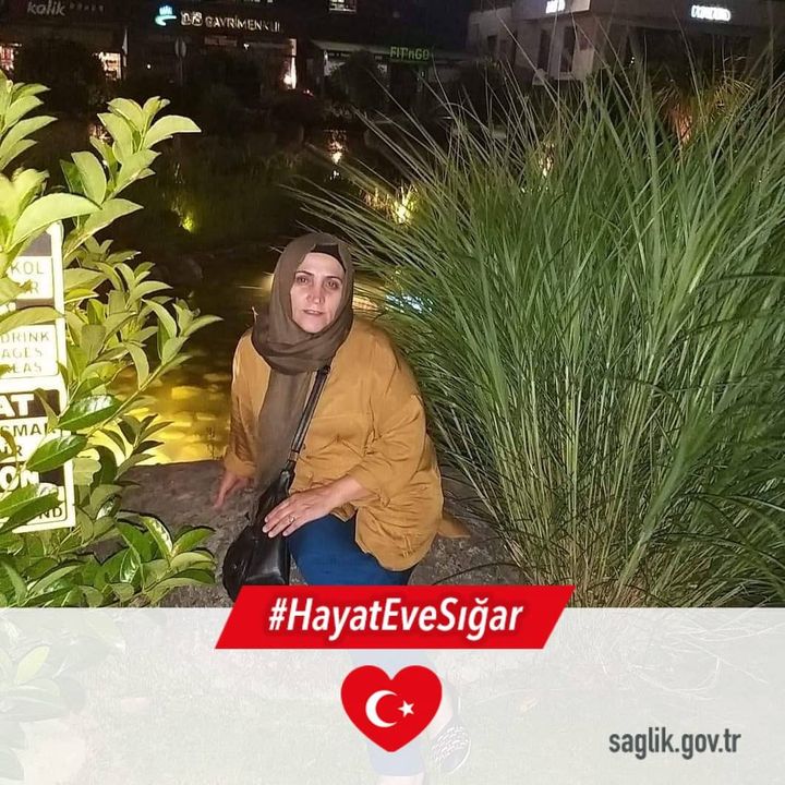 Havva