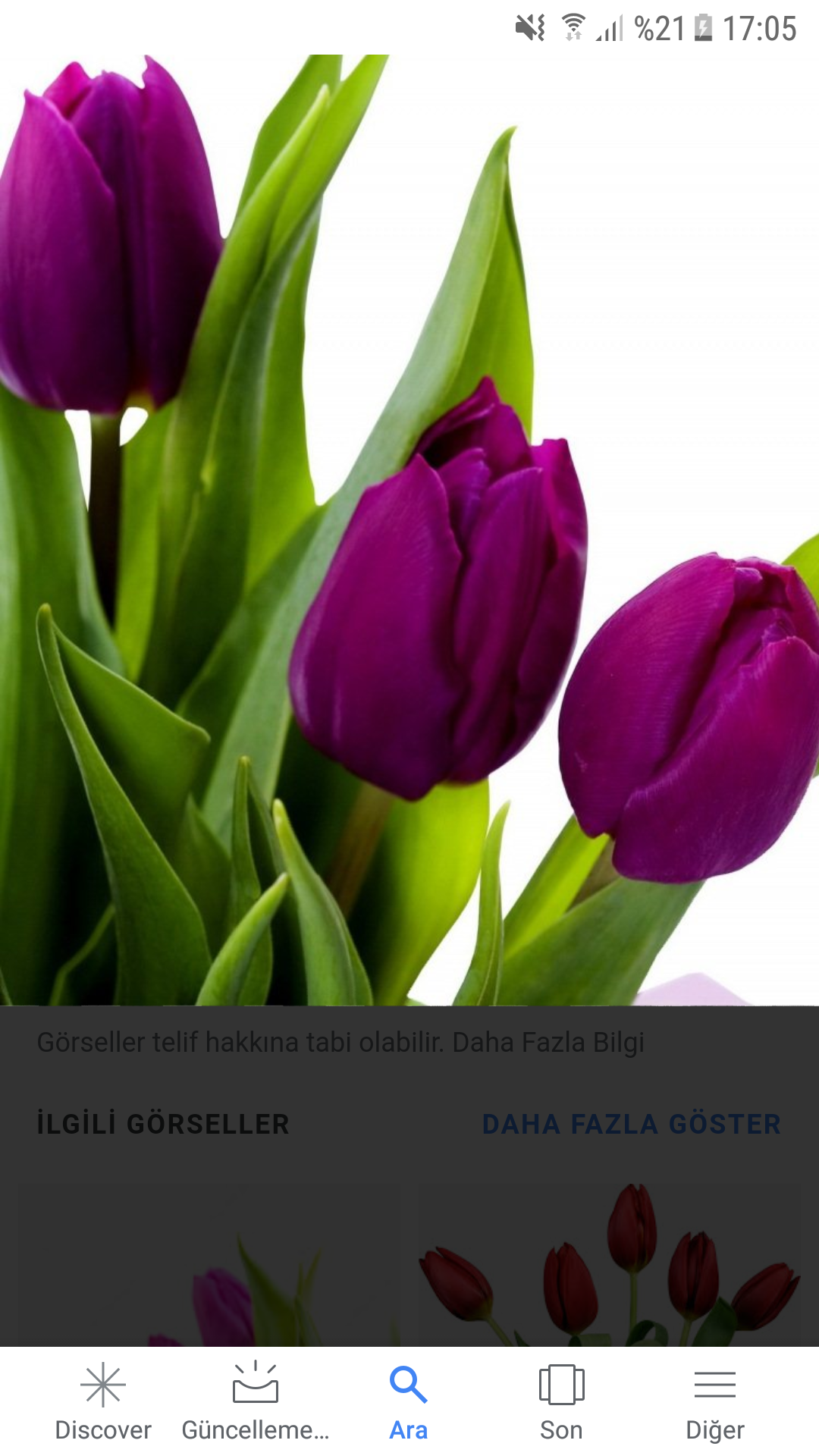 Zuhal