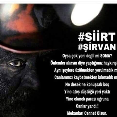 Yaşar