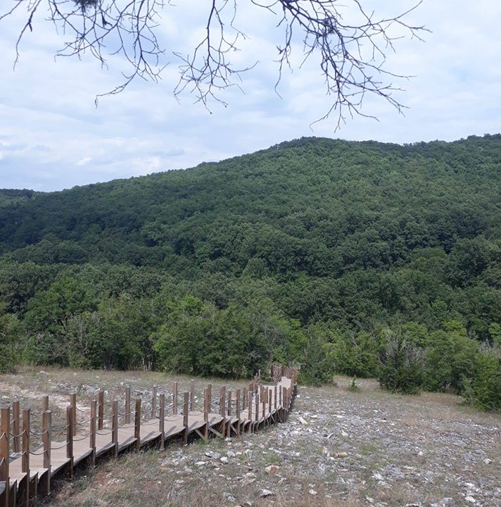 Alp